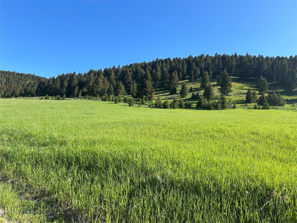 000 Chestnut Road, Bozeman MT 59715