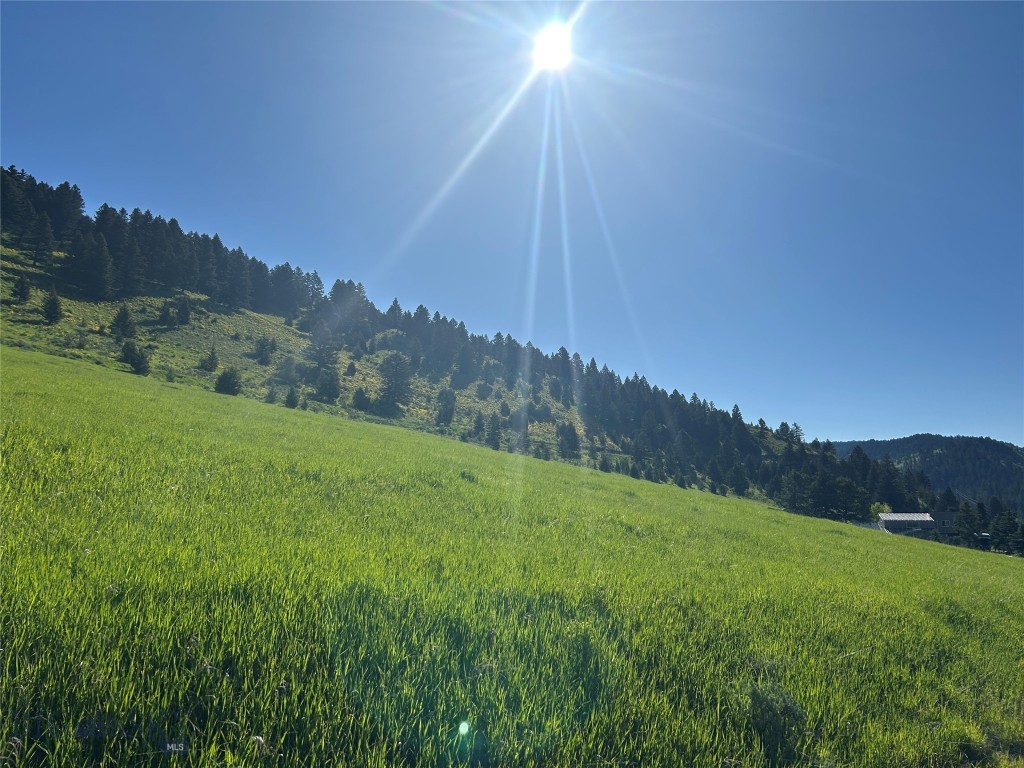 000 Chestnut Road, Bozeman MT 59715