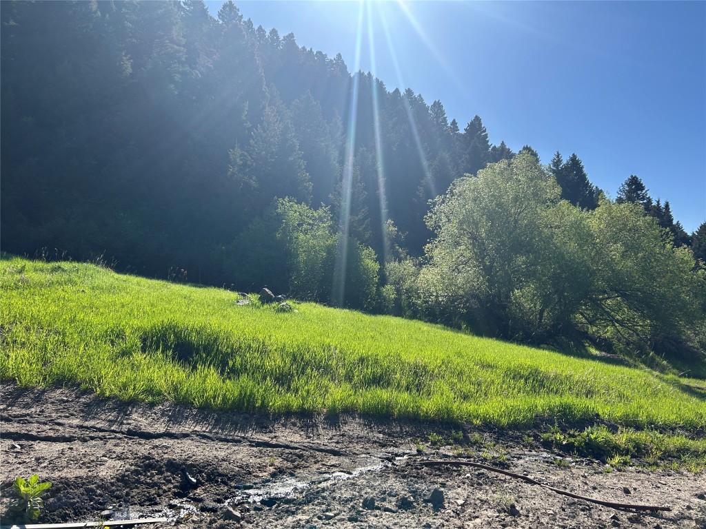 000 Chestnut Road, Bozeman MT 59715