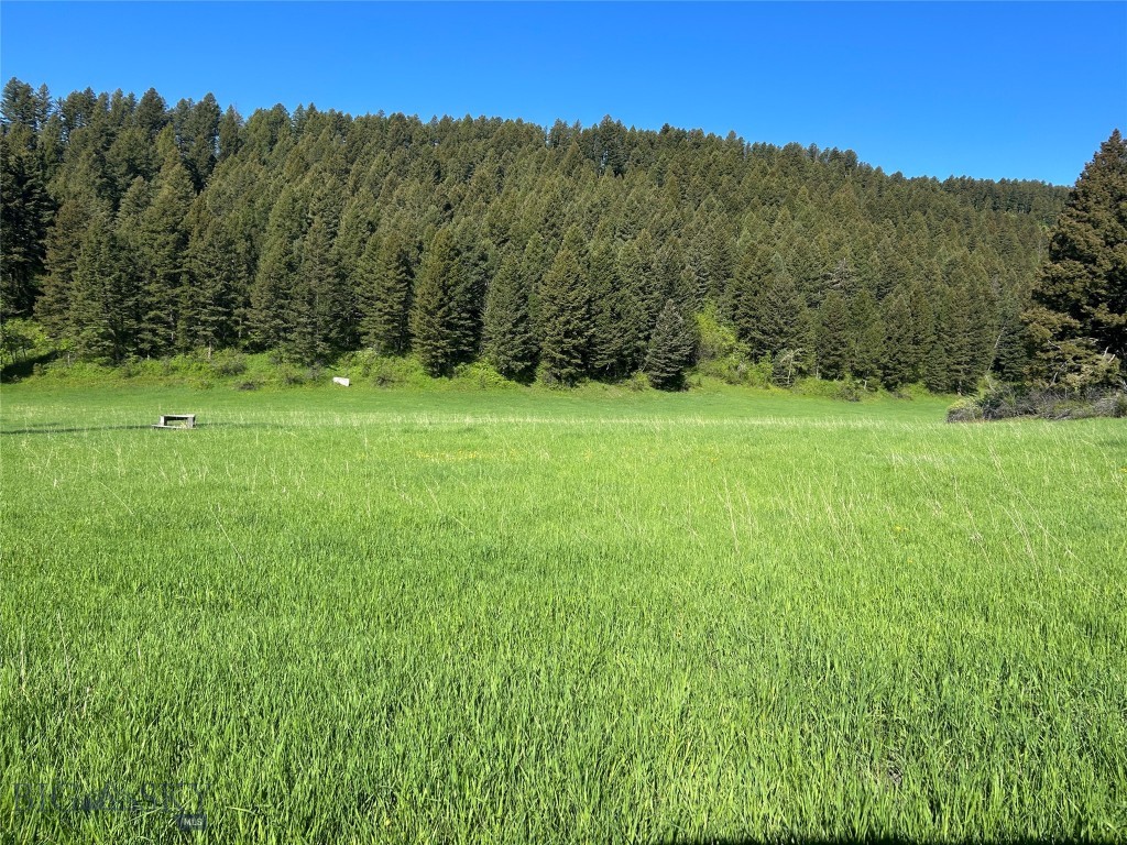 000 Chestnut Road, Bozeman MT 59715