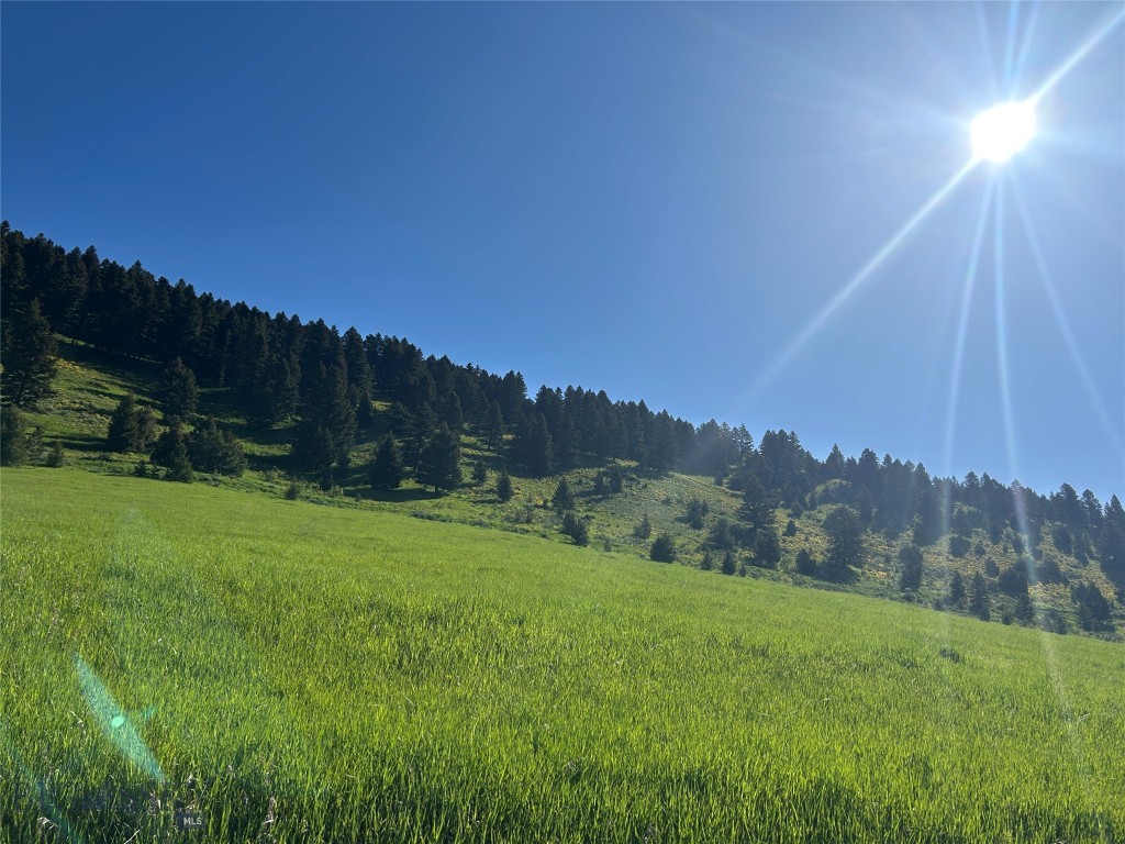 000 Chestnut Road, Bozeman MT 59715