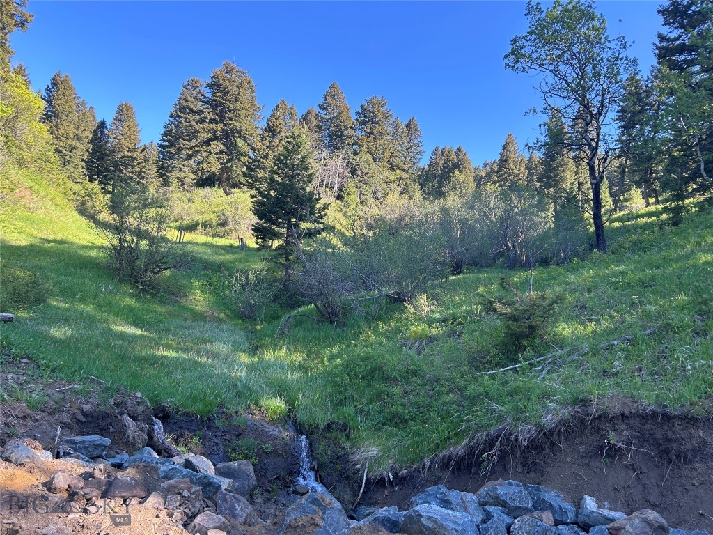 000 Chestnut Road, Bozeman MT 59715