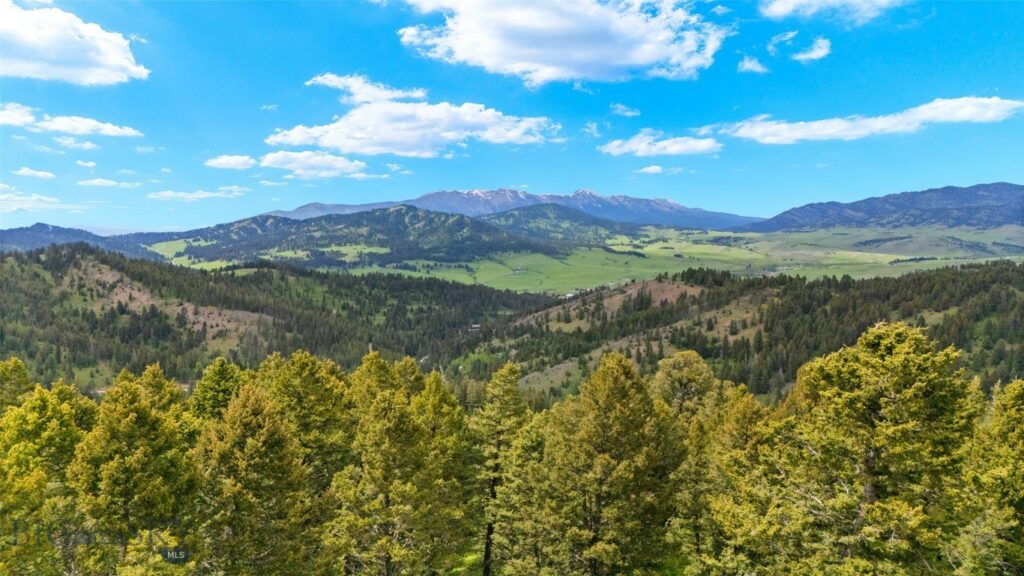 100 Peacemaker Road, Bozeman MT 59715