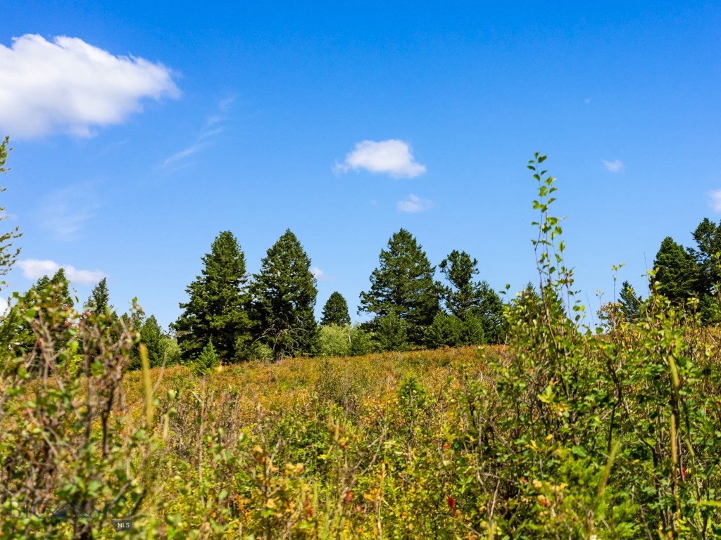 1010 Goose Ridge Road, Bozeman MT 59715