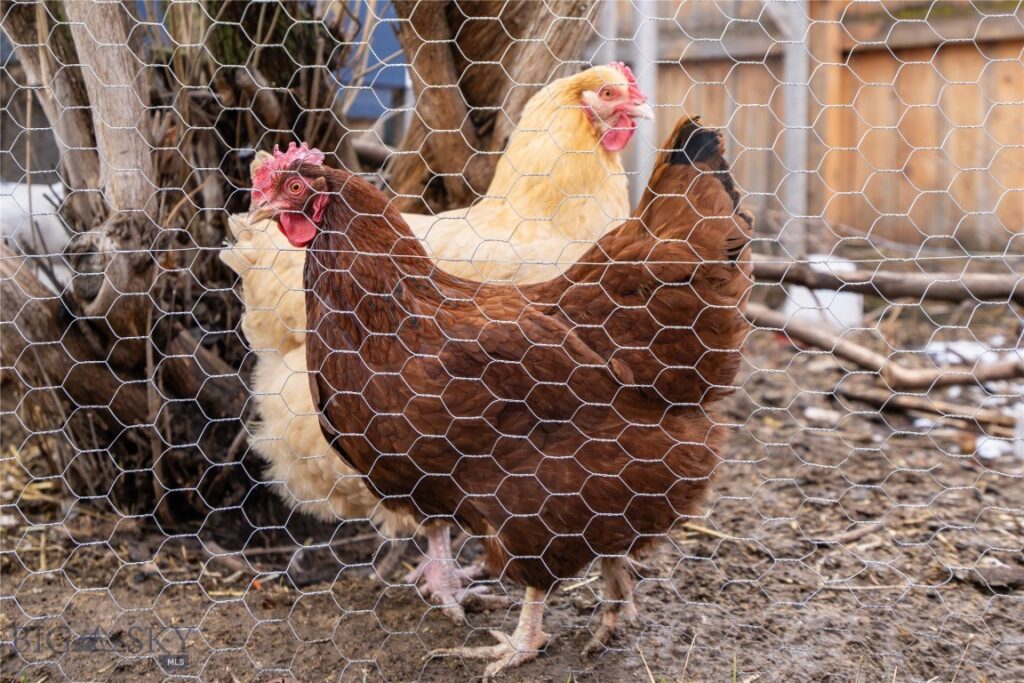 1014 W Dickerson Street, Bozeman MT 59715