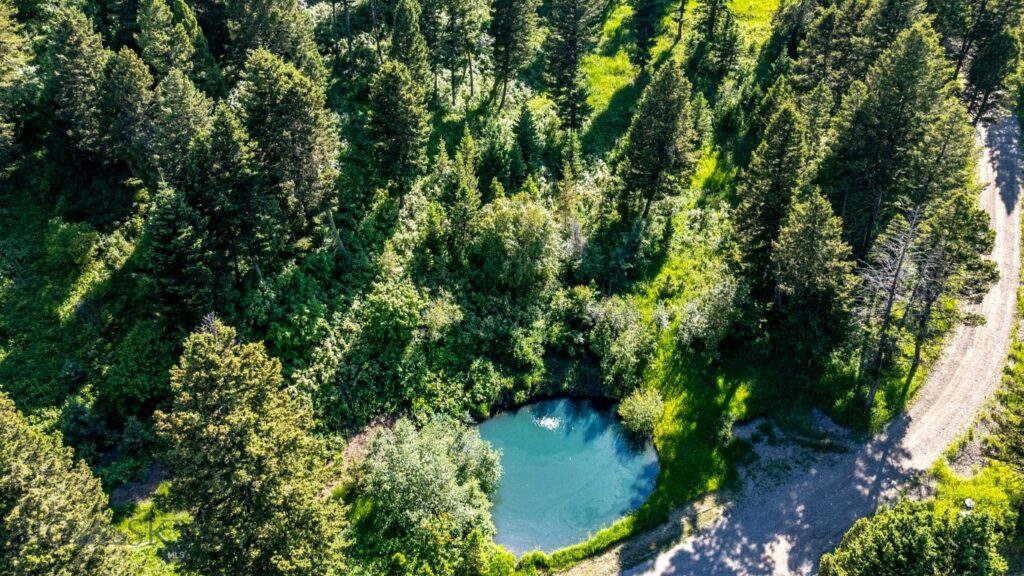 1062 Johnny Martinez Trail, Bozeman MT 59715