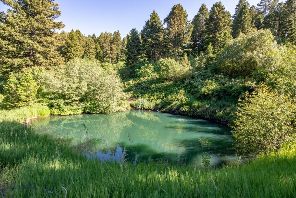 1062 Johnny Martinez Trail, Bozeman MT 59715