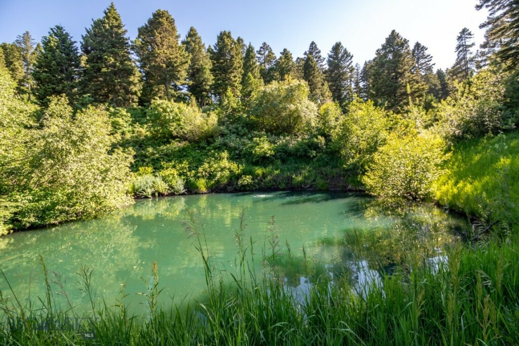 1062 Johnny Martinez Trail, Bozeman MT 59715
