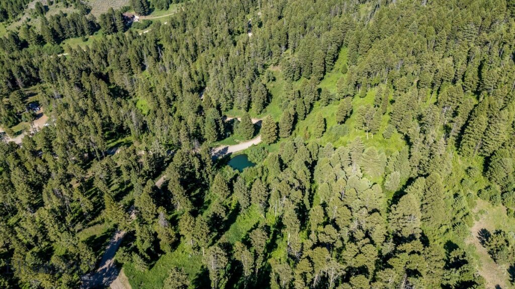 1062 Johnny Martinez Trail, Bozeman MT 59715