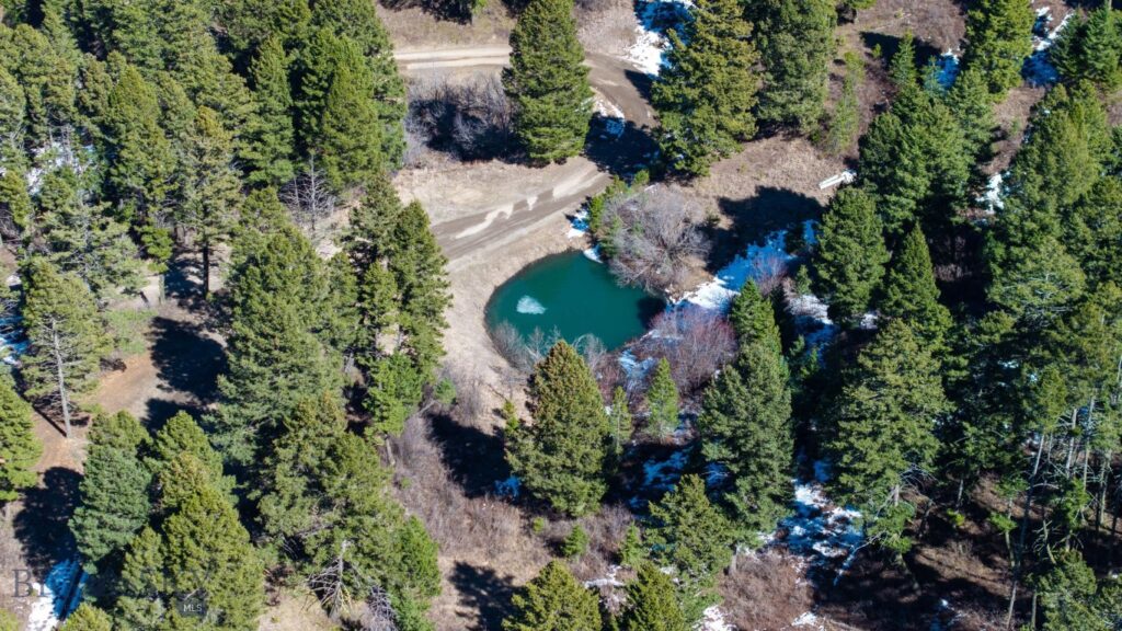 1062 Johnny Martinez, Bozeman MT 59715