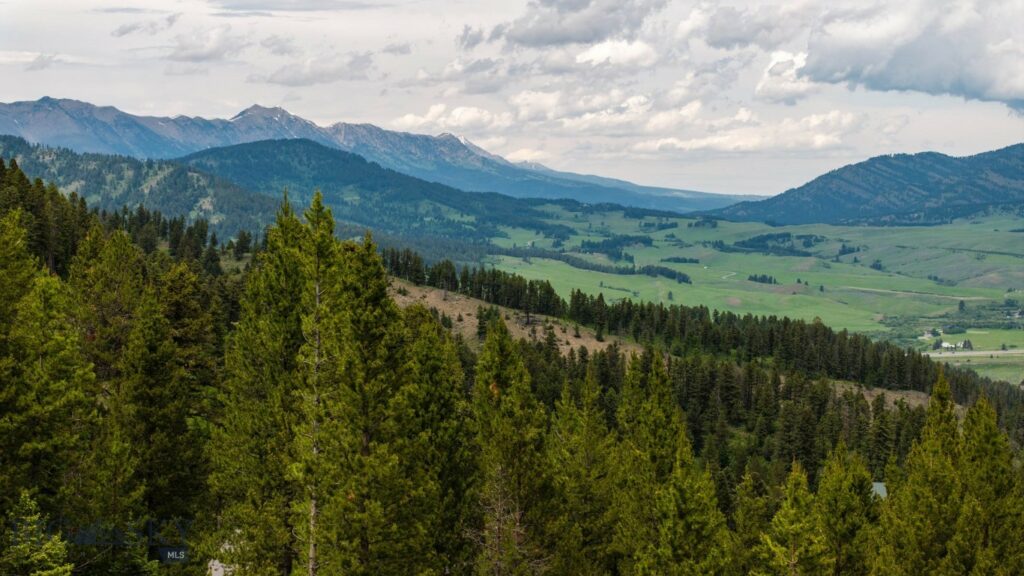 1099 Winchester, Bozeman MT 59715