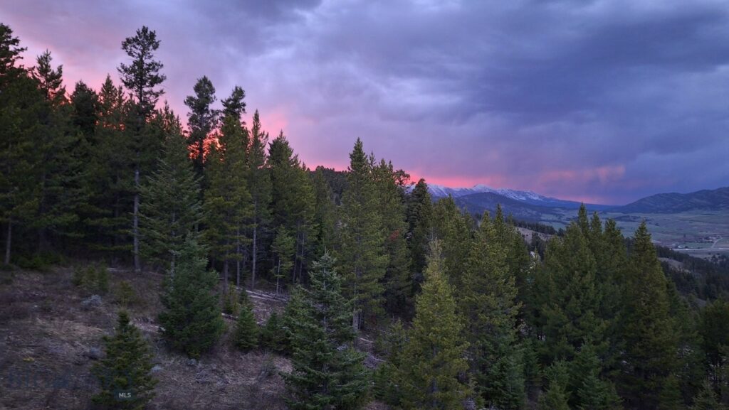 1099 Winchester, Bozeman MT 59715