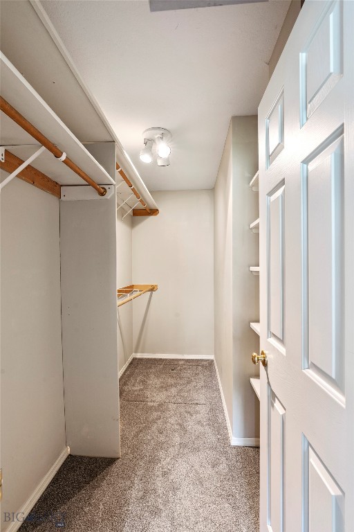 1100 Mountain Ash, Bozeman MT 59715