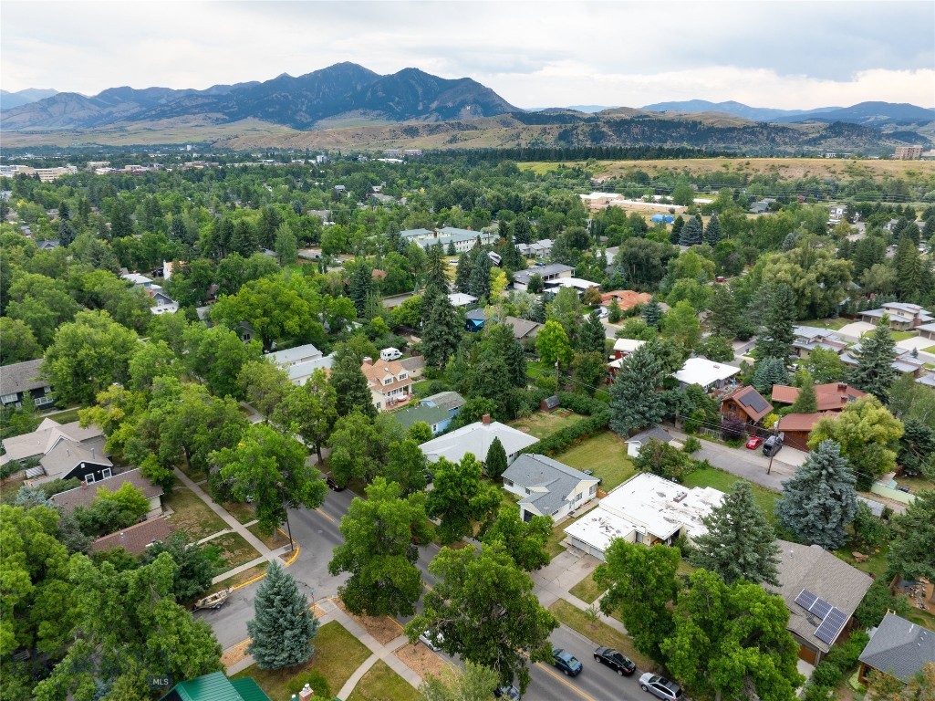 1106 S Willson Avenue, Bozeman MT 59715