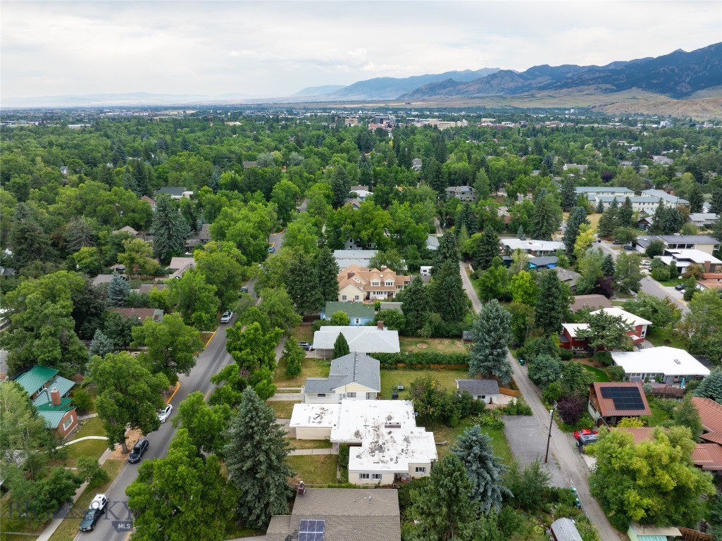 1106 S Willson Avenue, Bozeman MT 59715