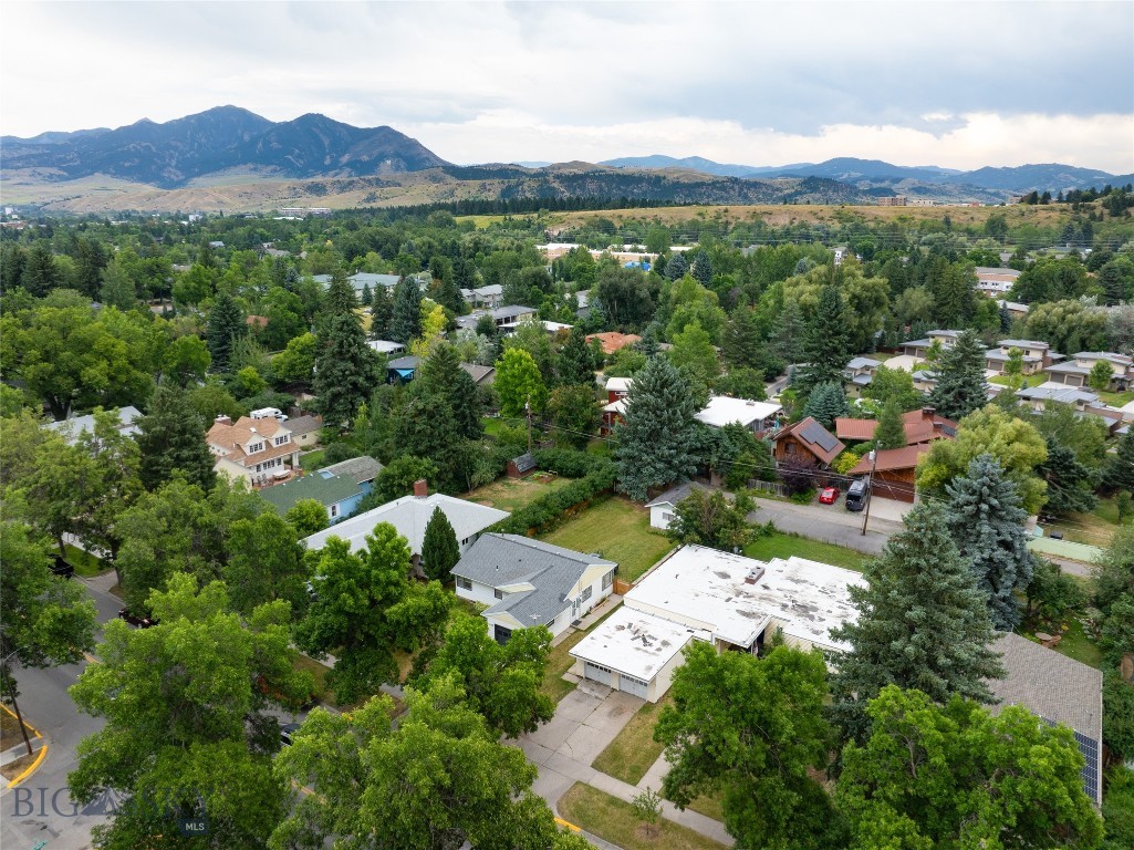 1106 S Willson Avenue, Bozeman MT 59715