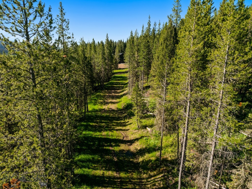 113 Bridger Meadow Trail, Bozeman MT 59715