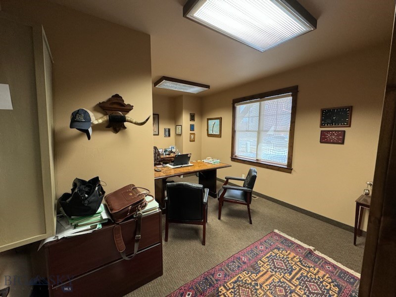 1165 N 14th Avenue, Bozeman MT 59715
