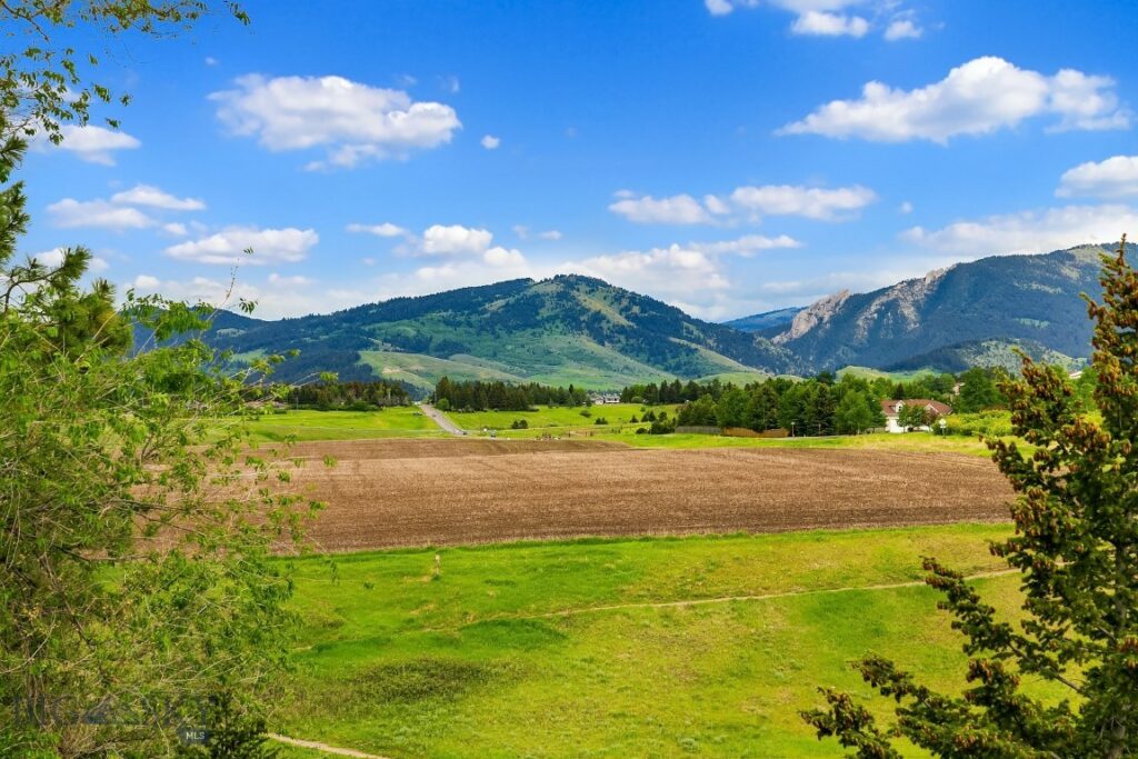 1224 Cherry Drive, Bozeman MT 59715