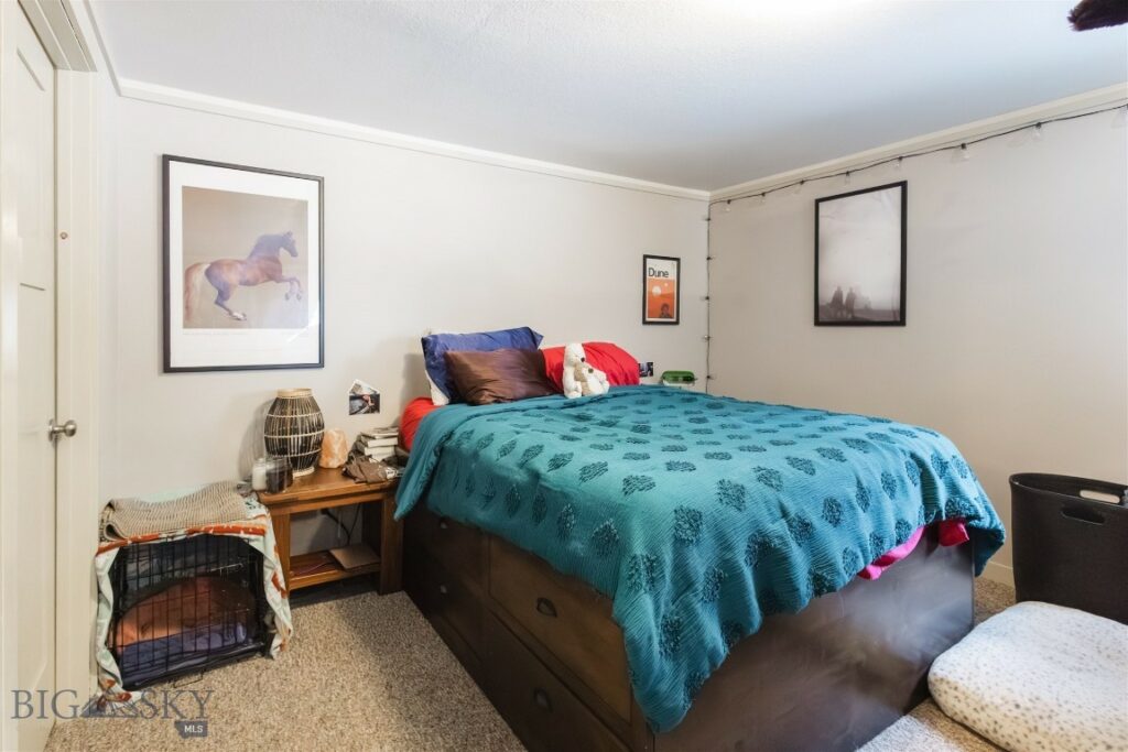 1232 N 8th Avenue, Bozeman MT 59715