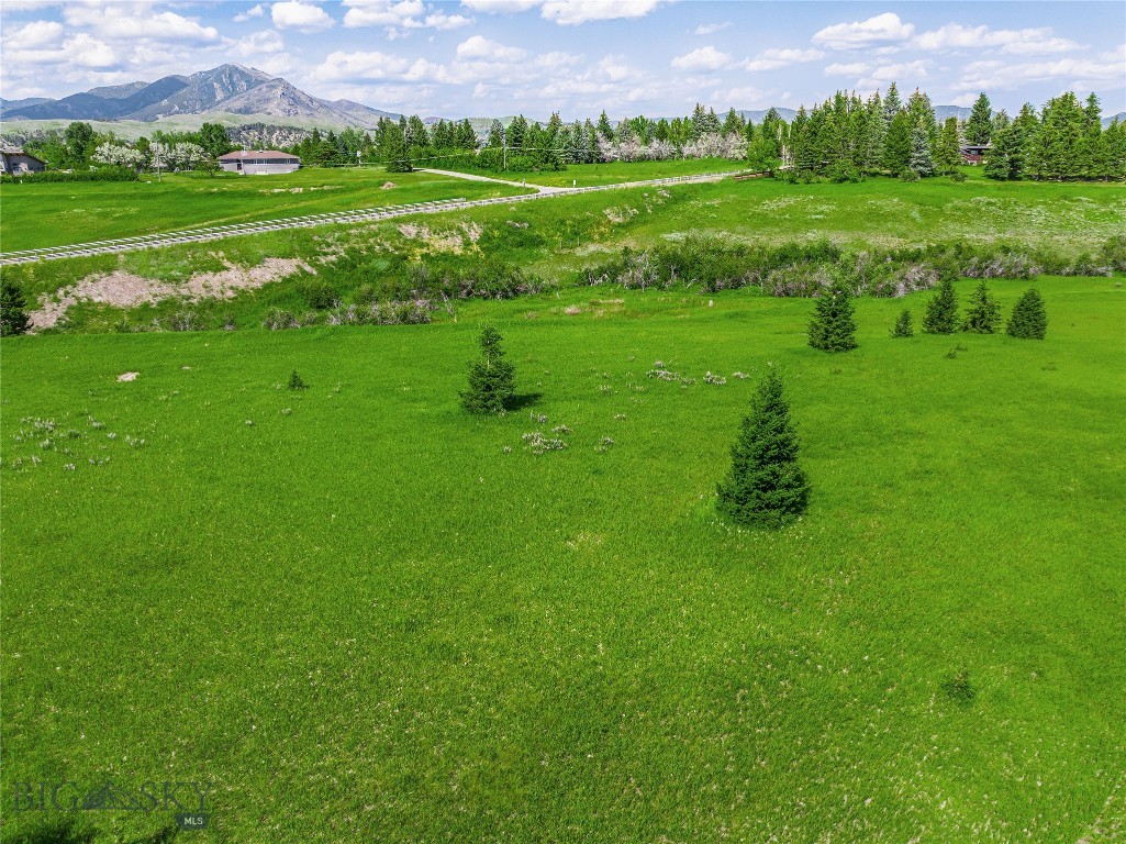 125 Blossom Way, Bozeman MT 59715