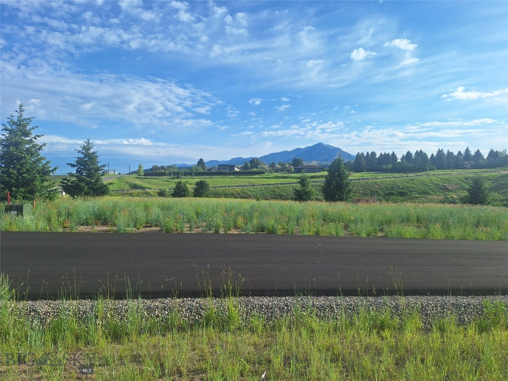 125 Blossom Way, Bozeman MT 59715