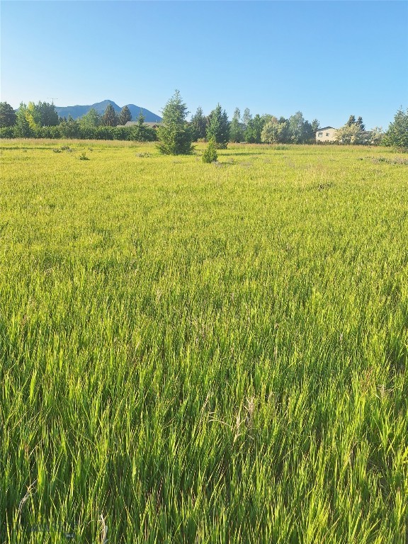 125 Blossom Way, Bozeman MT 59715