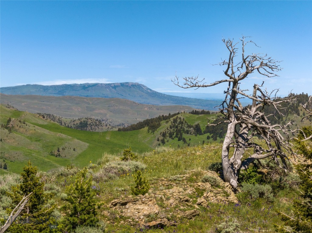 125 Rocky Mountain Meadows, Bozeman MT 59715