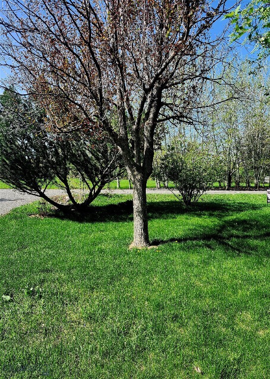 1421 Bluebird Lane, Bozeman MT 59715