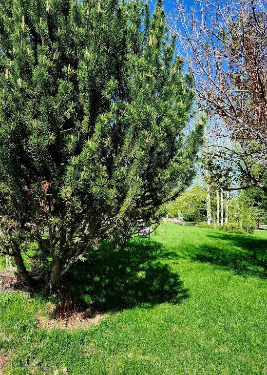 1421 Bluebird Lane, Bozeman MT 59715