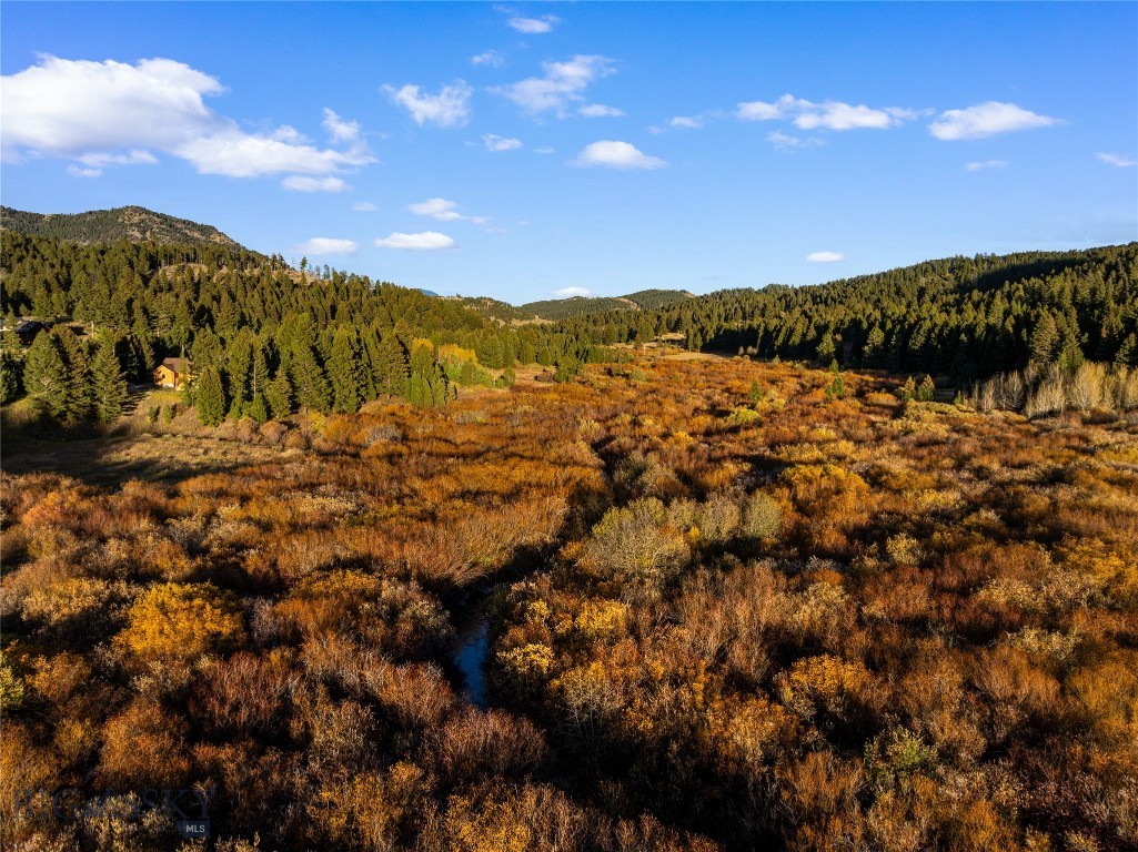 14650 Brackett Creek Road, Bozeman MT 59715