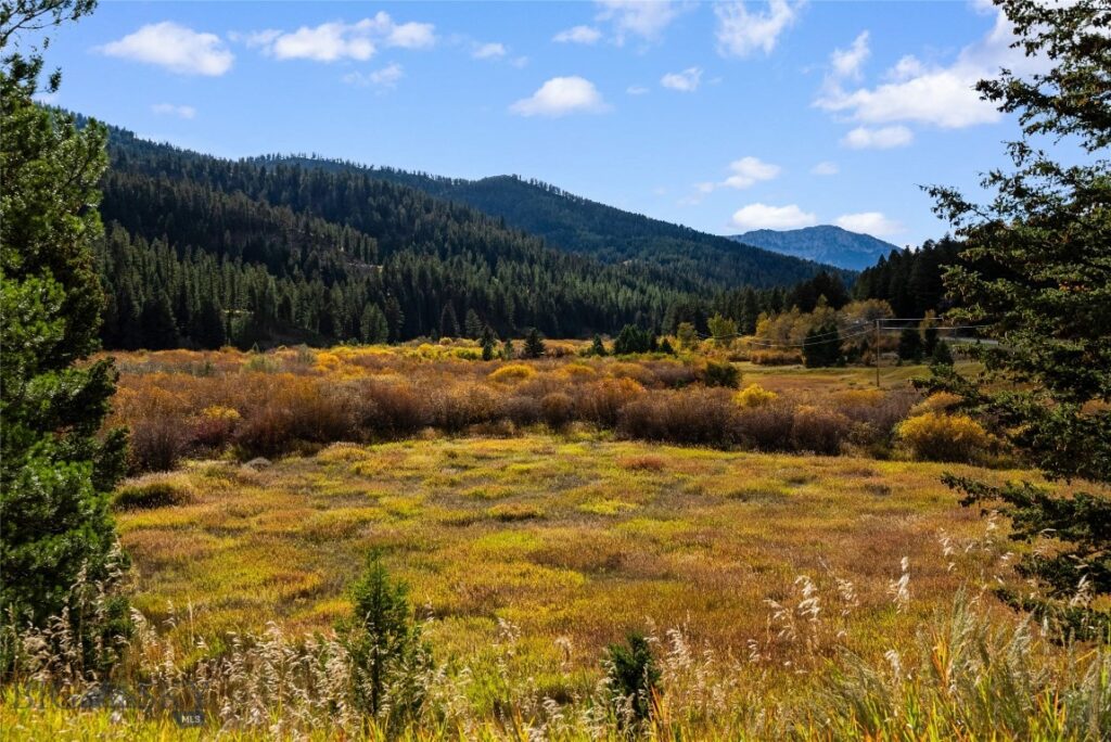 14650 Brackett Creek Road, Bozeman MT 59715