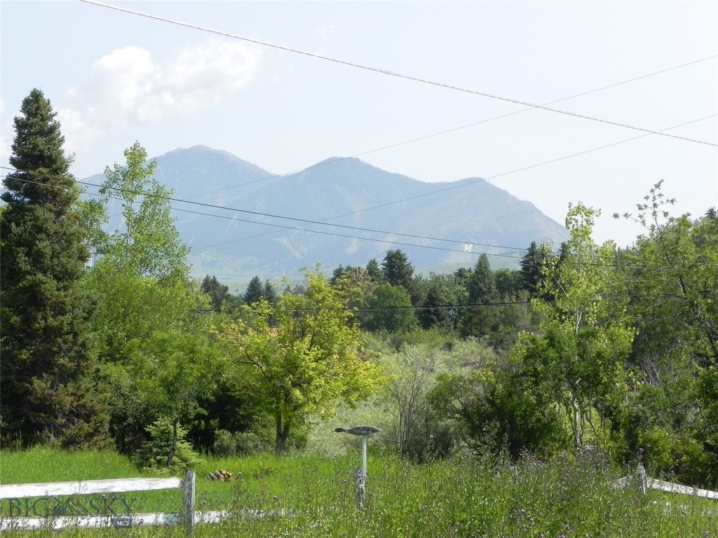 1504 S Willson, Bozeman MT 59715