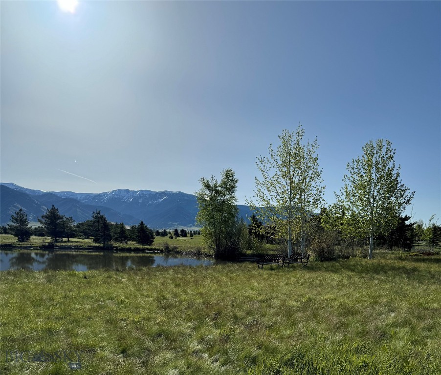 157 Poppy Field Drive, Bozeman MT 59718