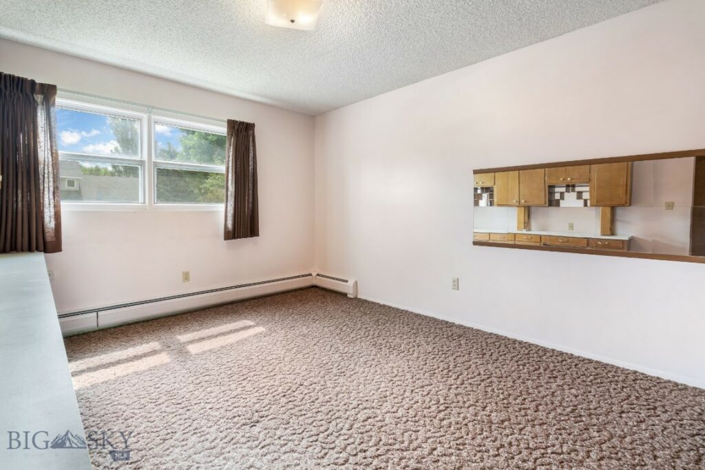 1721 S Willson Avenue, Bozeman MT 59715