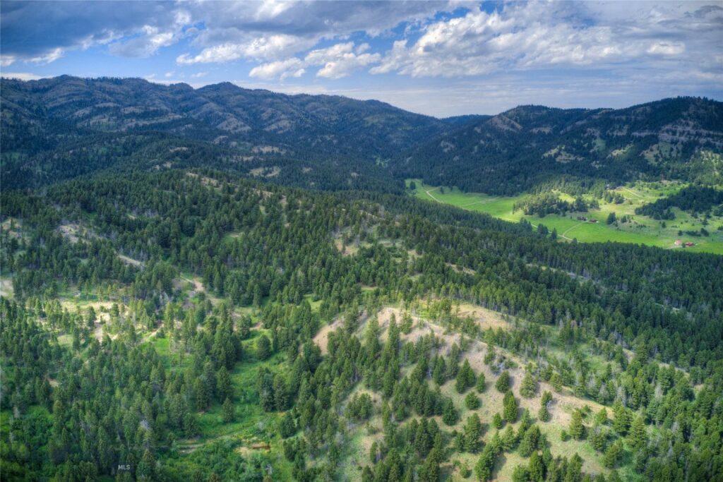 18203 Bear Tracks Road, Bozeman MT 59715