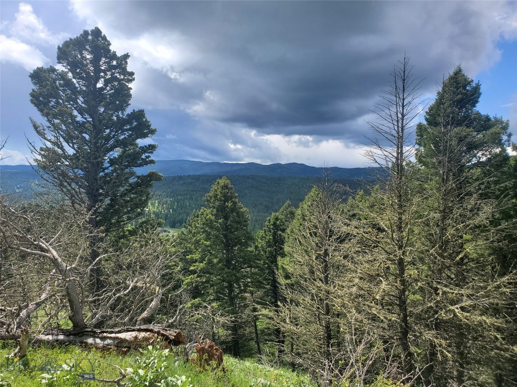 18203 Bear Tracks Road, Bozeman MT 59715