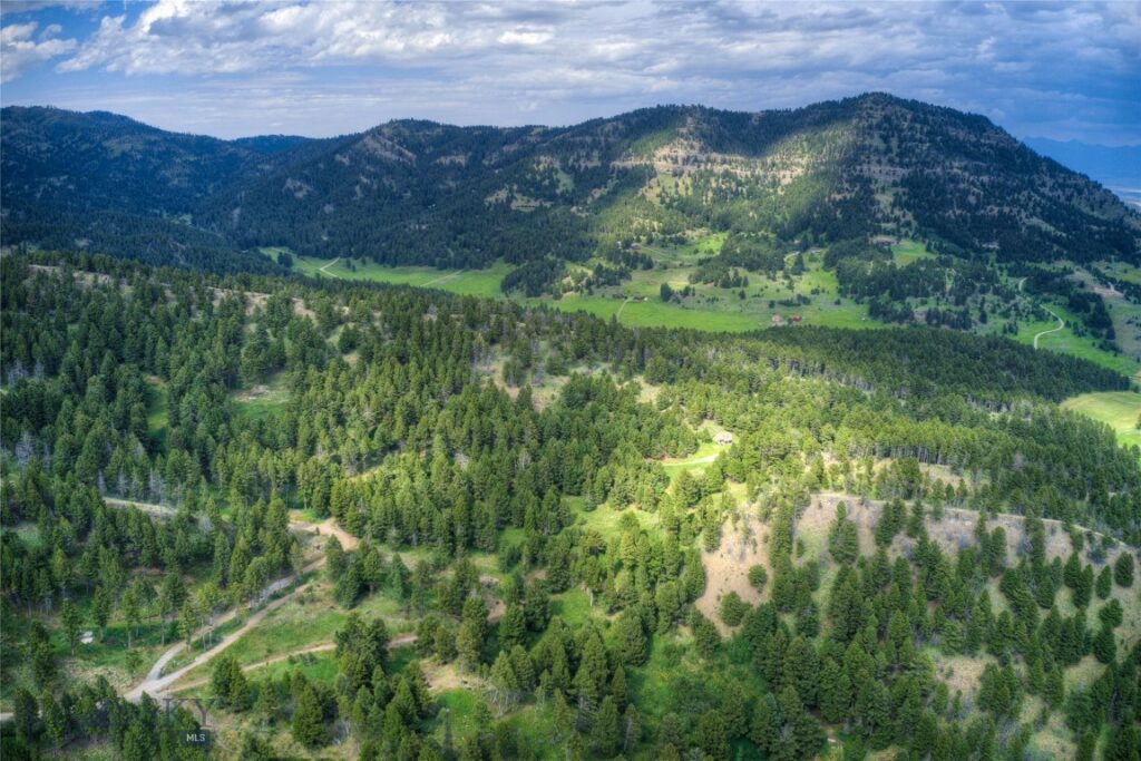 18203 Bear Tracks Road, Bozeman MT 59715