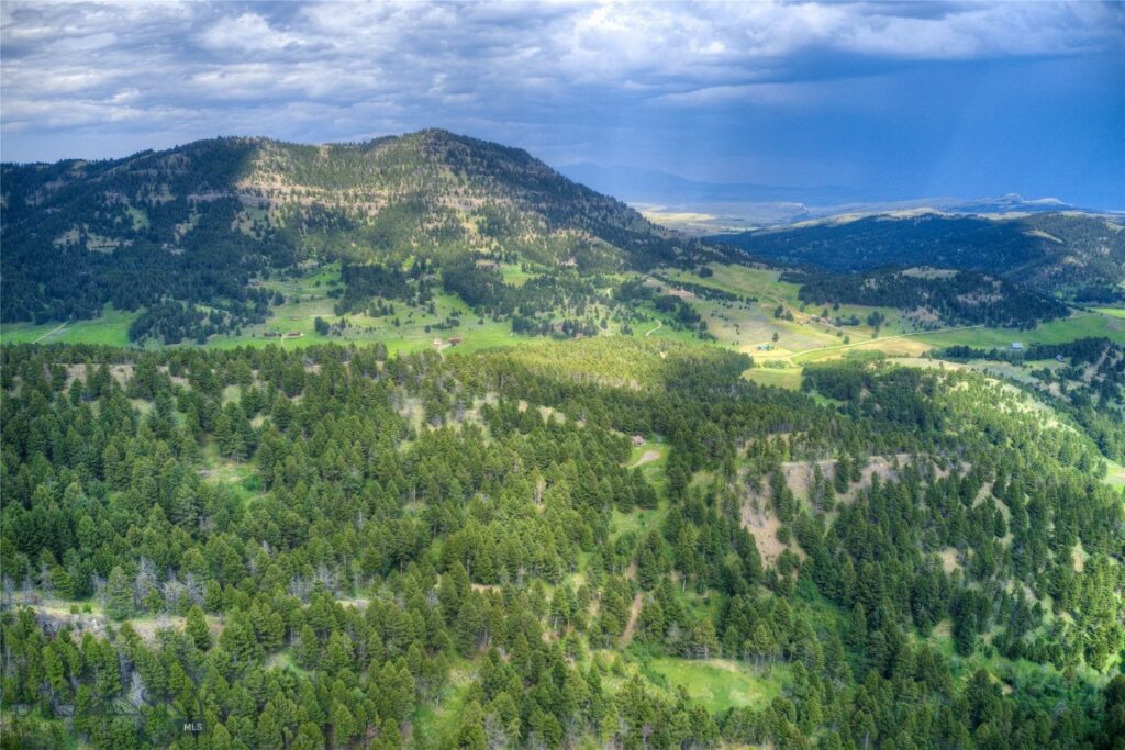 18203 Bear Tracks Road, Bozeman MT 59715