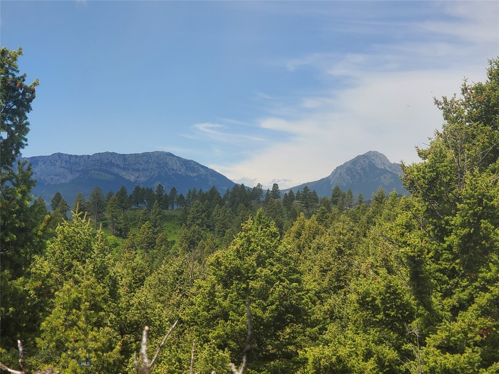 18203 Bear Tracks Road, Bozeman MT 59715