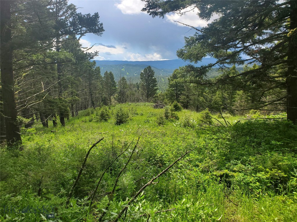 18203 Bear Tracks Road, Bozeman MT 59715