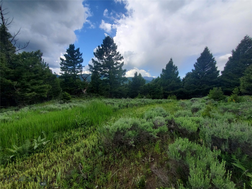 18203 Bear Tracks Road, Bozeman MT 59715