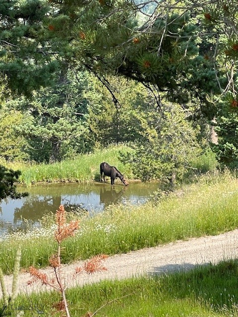 185 Peak, Bozeman MT 59715
