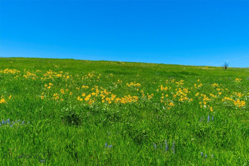 1856 Star Ridge Road, Bozeman MT 59715