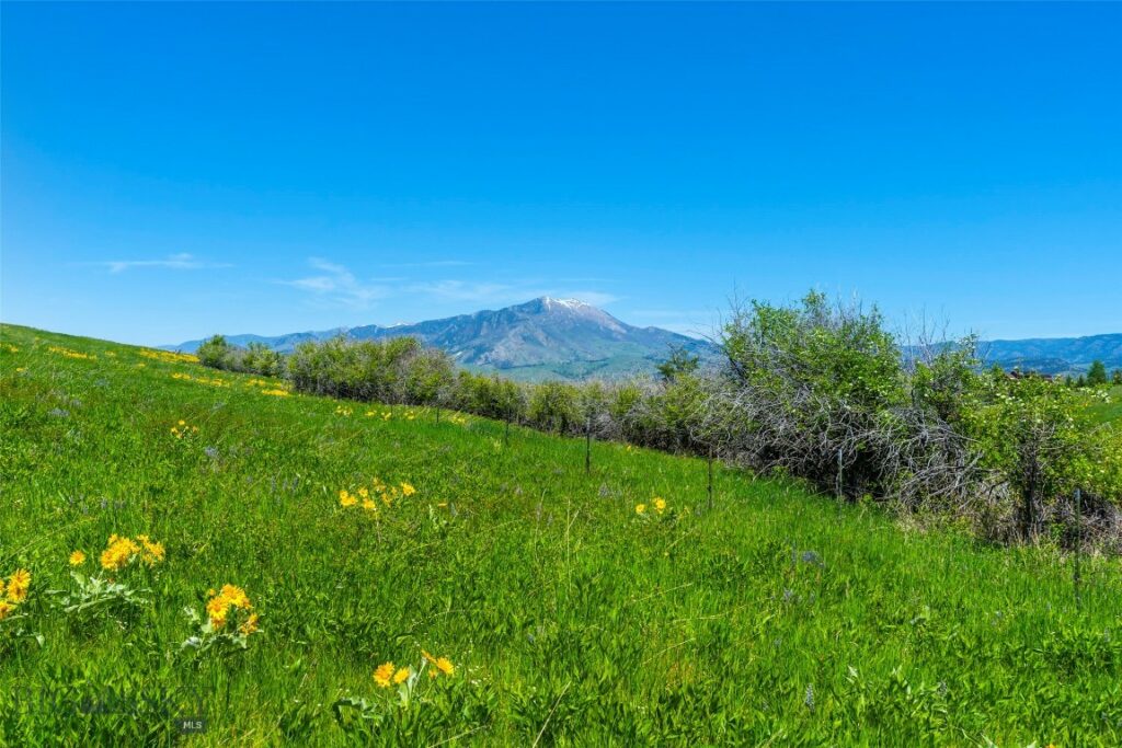 1856 Star Ridge Road, Bozeman MT 59715