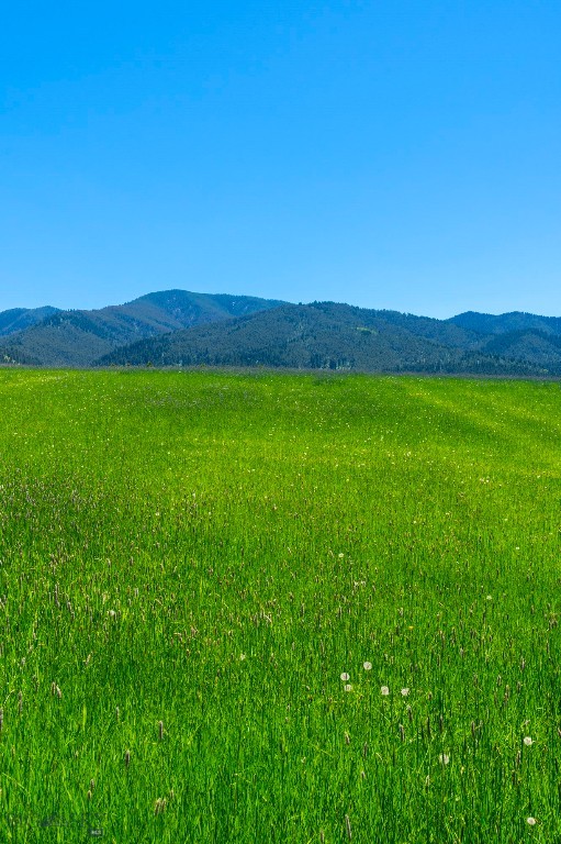 1856 Star Ridge Road, Bozeman MT 59715