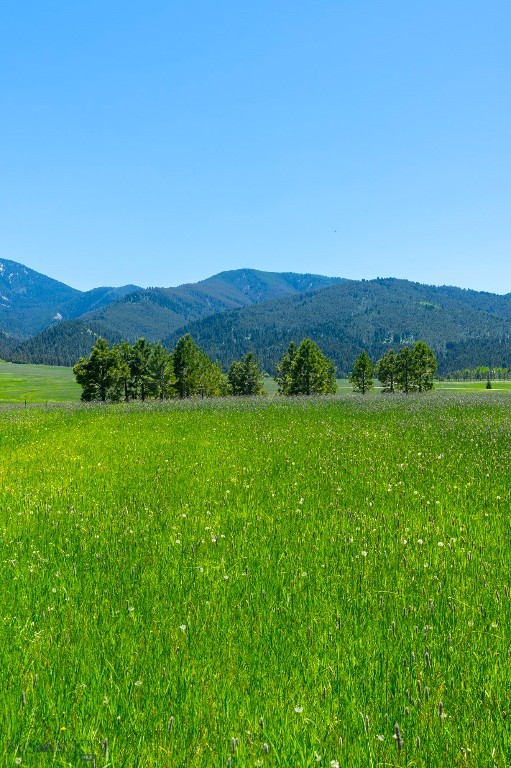 1856 Star Ridge Road, Bozeman MT 59715