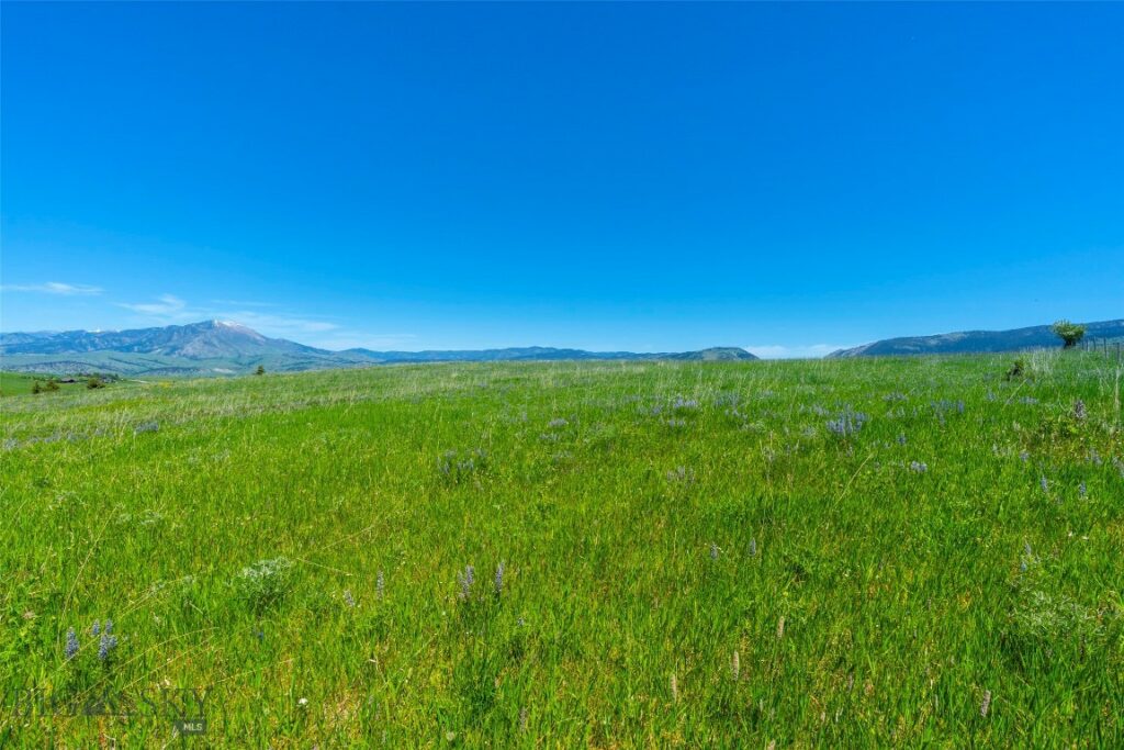 1856 Star Ridge Road, Bozeman MT 59715