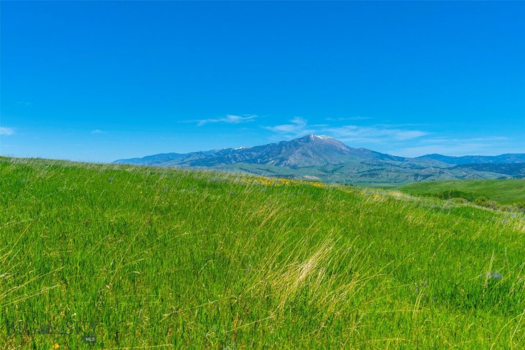 1856 Star Ridge Road, Bozeman MT 59715