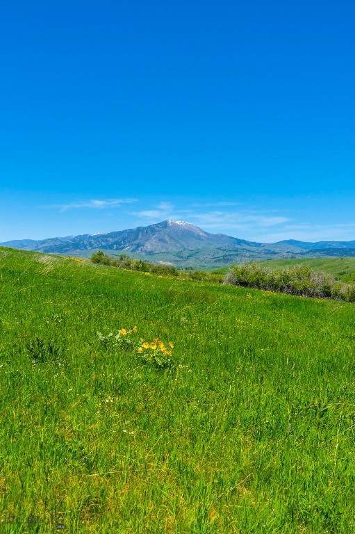 1856 Star Ridge Road, Bozeman MT 59715